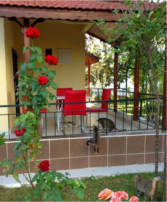 Überdachte Veranda mit Sitzplatz