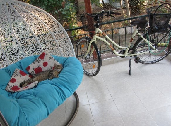 Hängesessel auf der Veranda